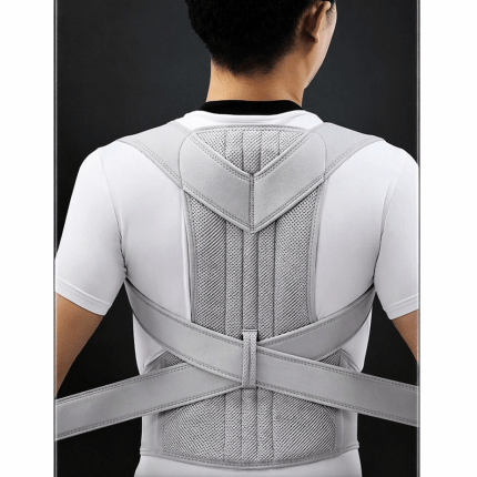 Back Support Brace