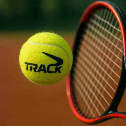 Track Tennis Ball (3)