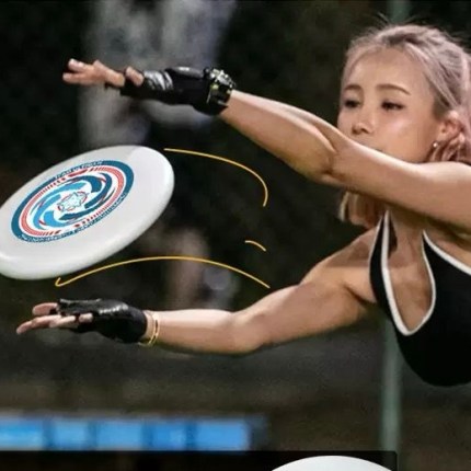 Frisbee (Flying Disc)