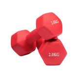 Pair of Vinyl Dumbbell