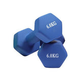 Pair of Vinyl Dumbbell