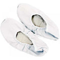 Ballet Shoes