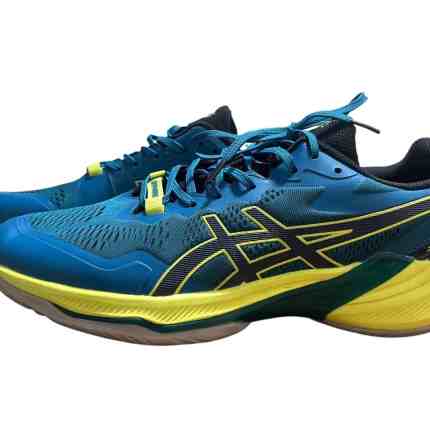 Asics Indoor Training Shoes