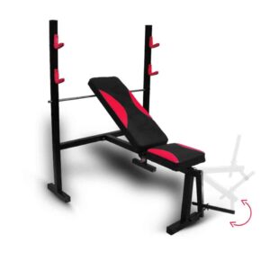 Bench with bar holder and parallel bars