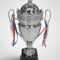 Silver Trophy 51 cm