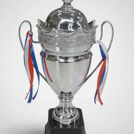 Silver Trophy 51 cm