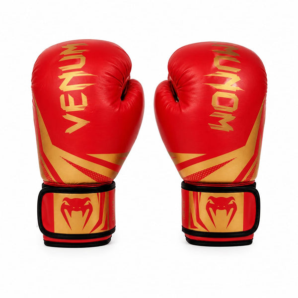 Training Boxing Gloves