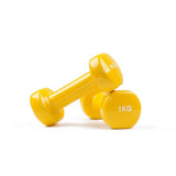 Pair of Vinyl Dumbbell