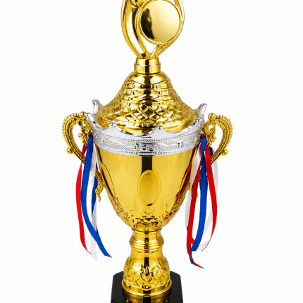 Gold & Silver Trophy