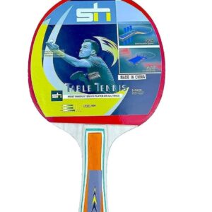 Table tennis racket in protective case