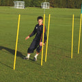 Fluorescent training pole for agility drills