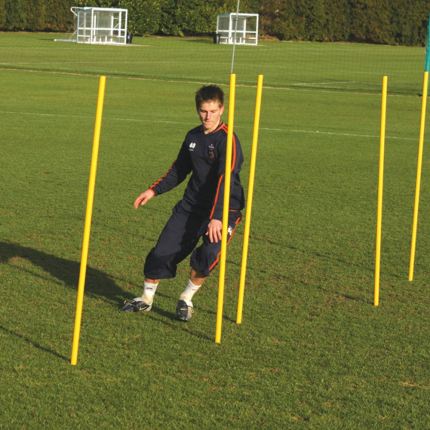 Fluorescent training pole for agility drills