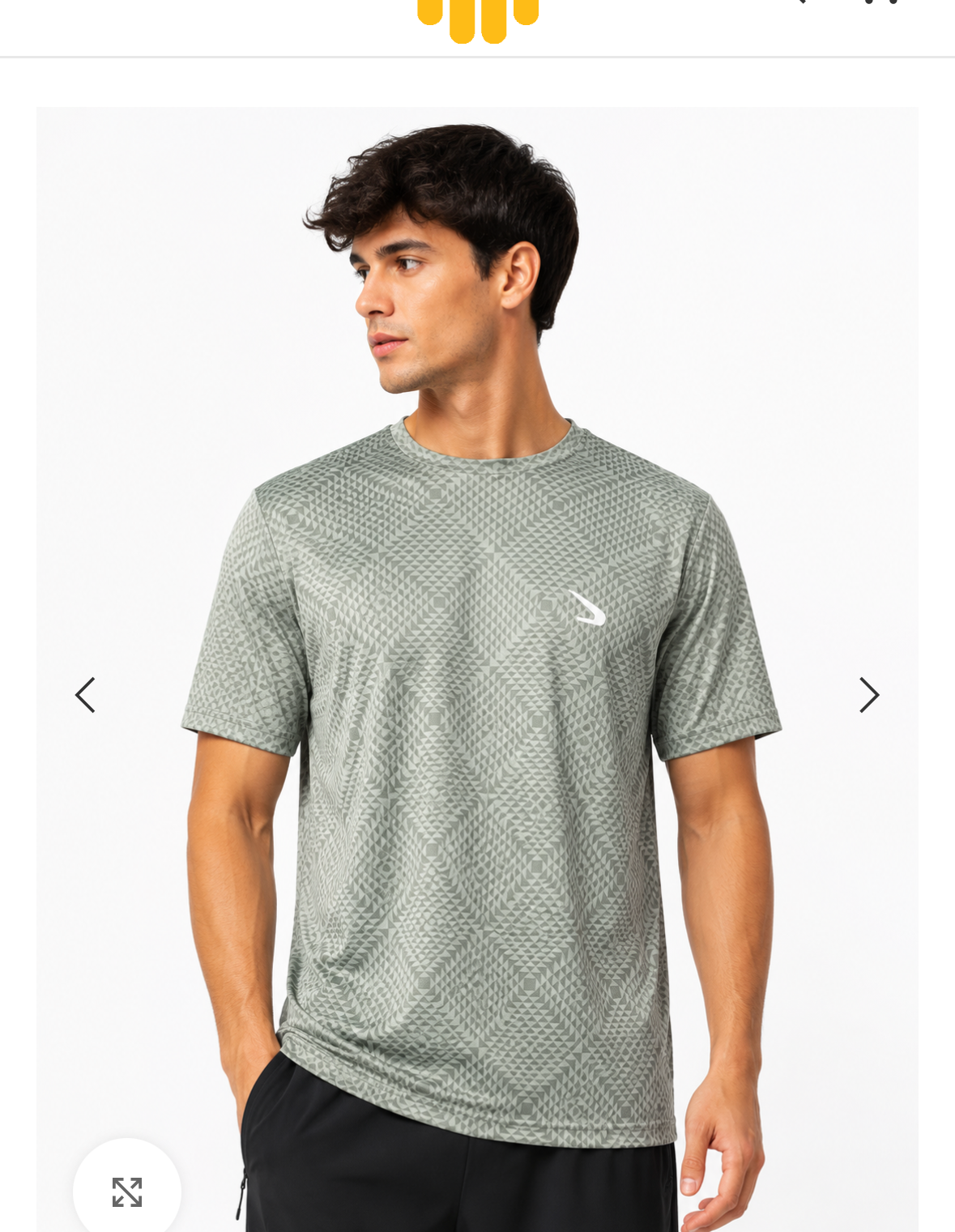 Men's Performance Sports T-Shirt - Gray
